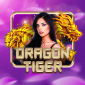 Dragon Tiger live on pinata wins demo